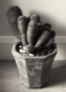 Motifs_2