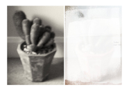 Motifs_14