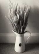 Motifs_9