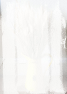Motifs_6