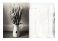 Motifs_8