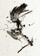 seen_2