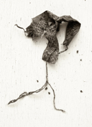 seen_4
