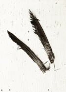 seen_5