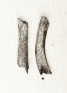 seen_7