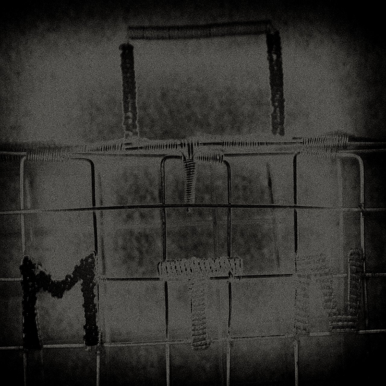 Loading Image