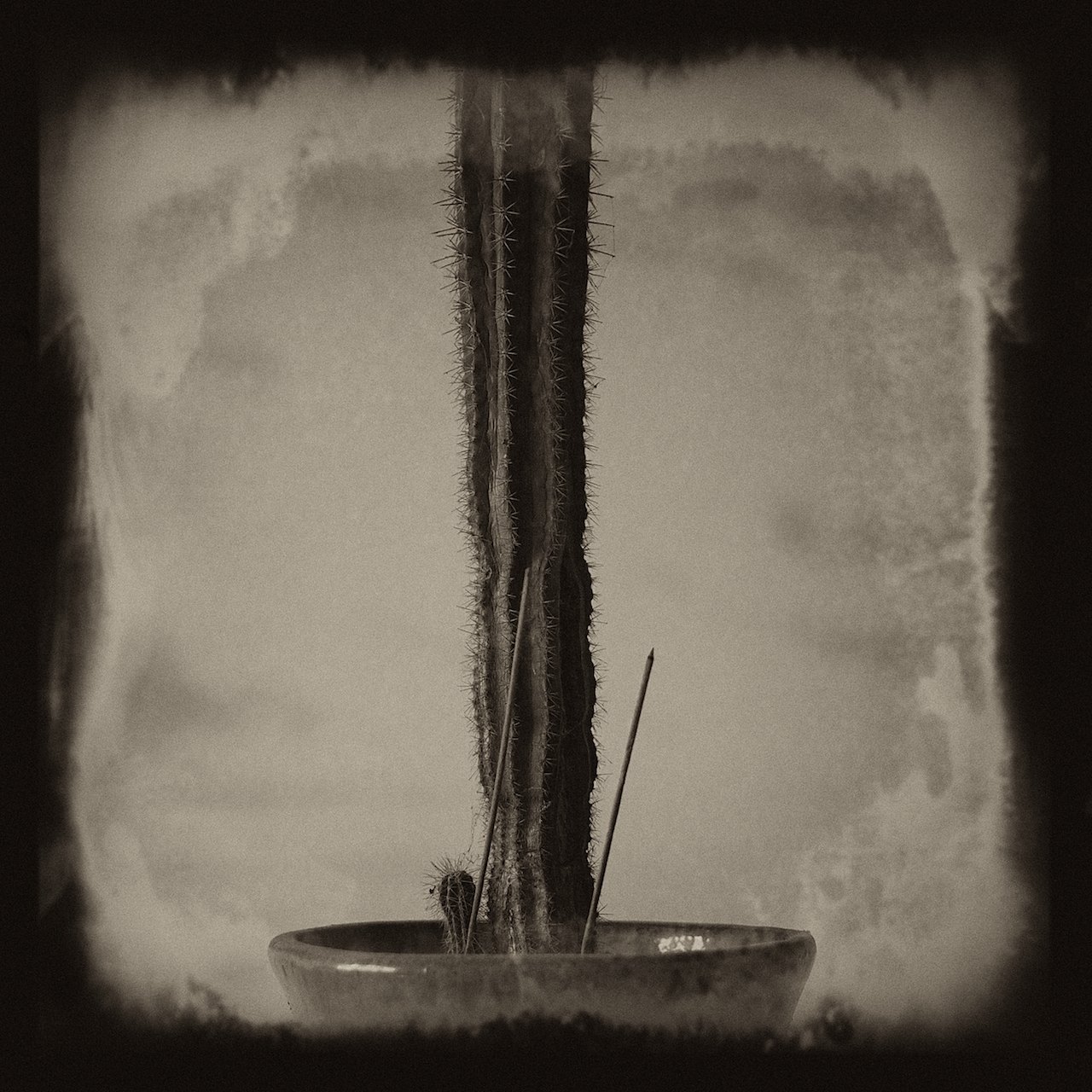 Loading Image