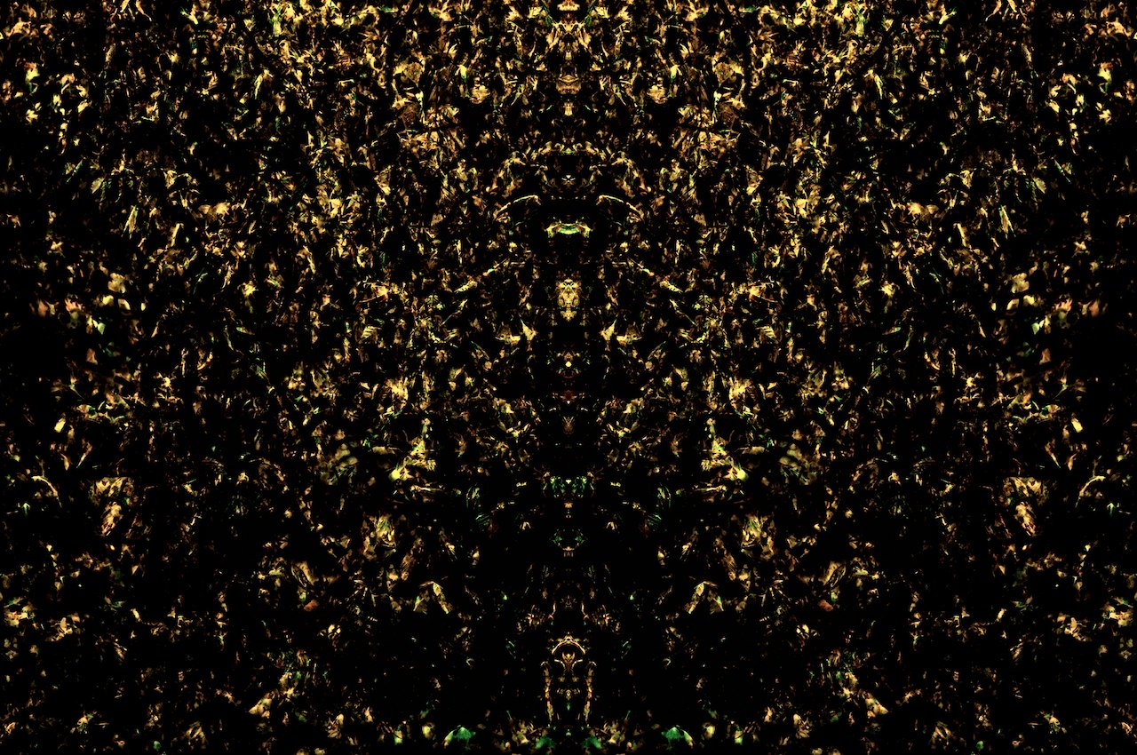 Loading Image