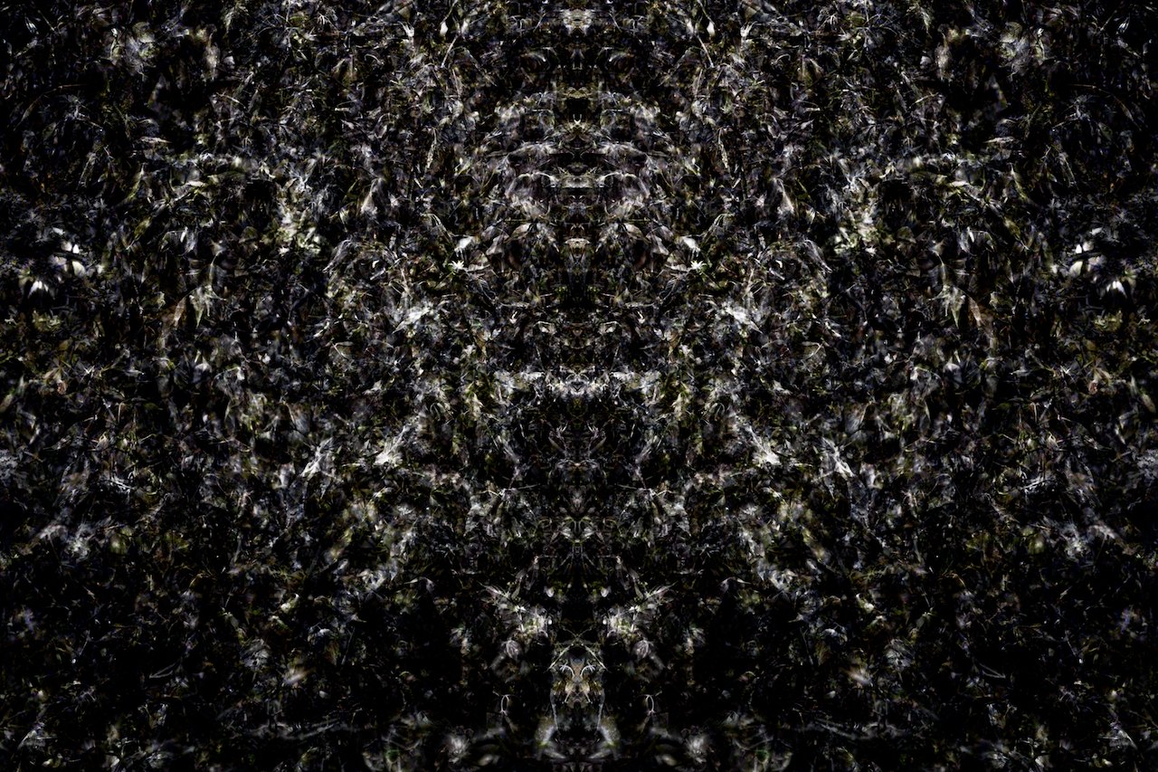Loading Image