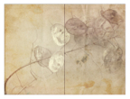 Vessels_39