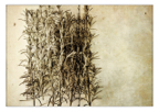 Vessels_40