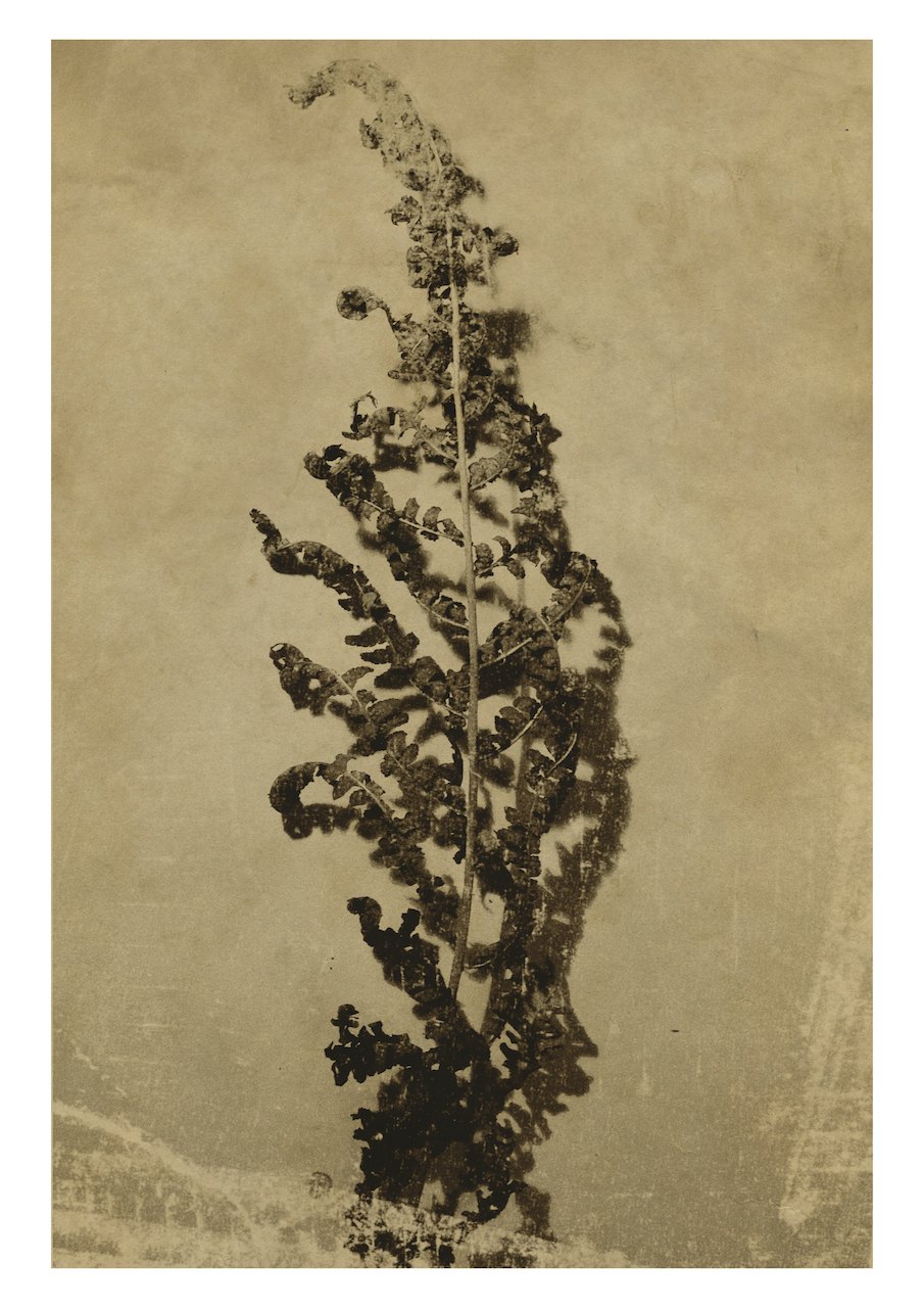 Loading Image