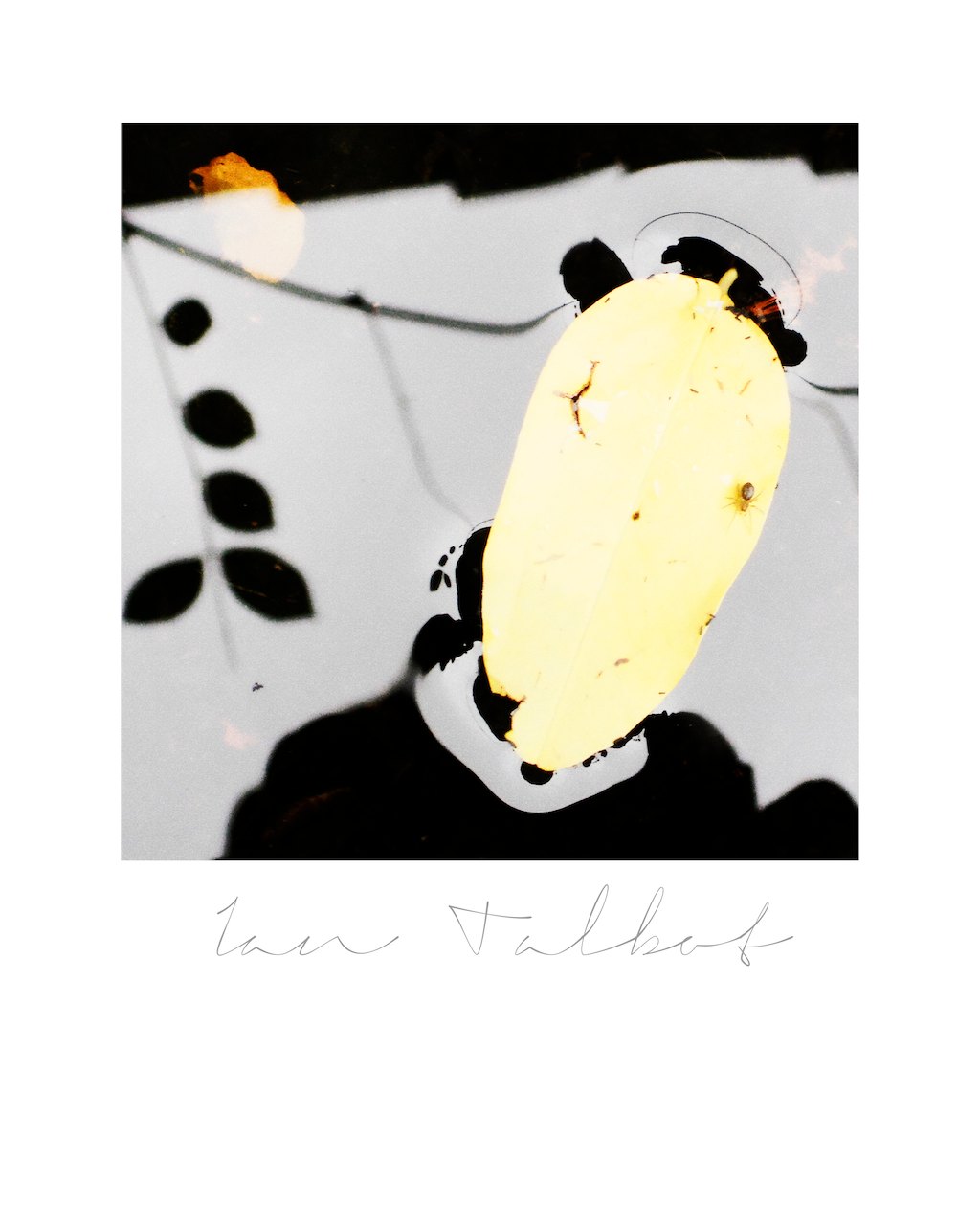 Loading Image