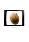 Good_eats_18